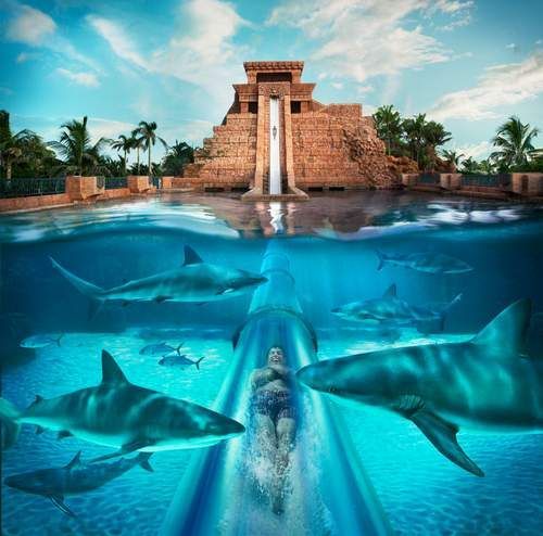 Aquaventure Waterpark