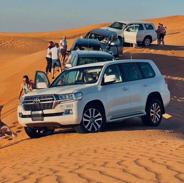Desert Safari